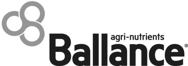Ballance logo