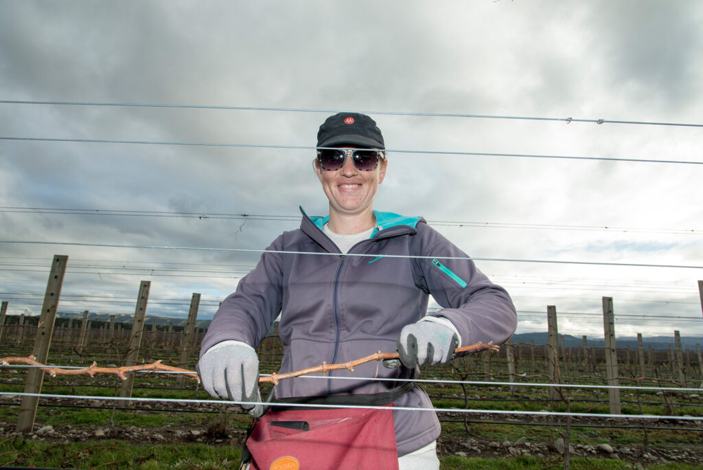 Lyve vineyard worker