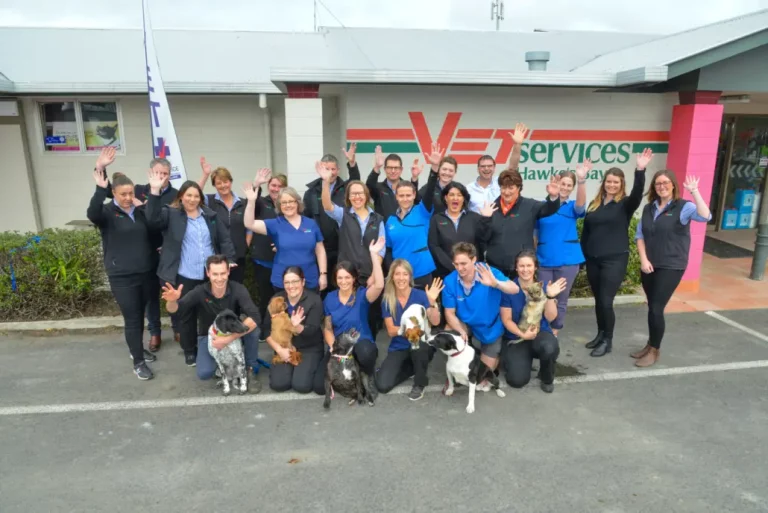 Vet Services Waipukurau 1030x688 1